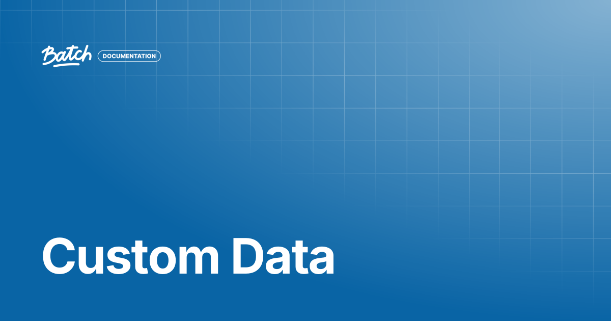 Custom Data | Getting started | Batch Documentation